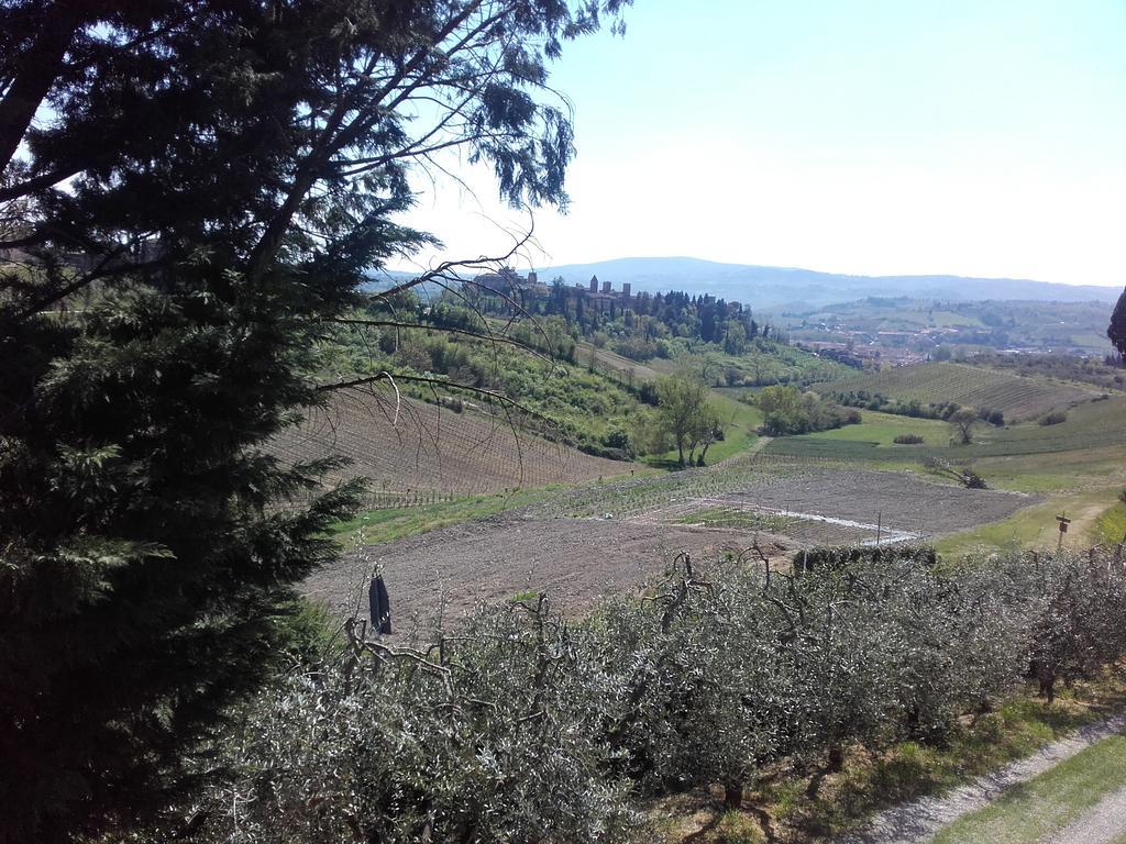 Agriturismo Il Torrione Certaldo Eksteriør bilde