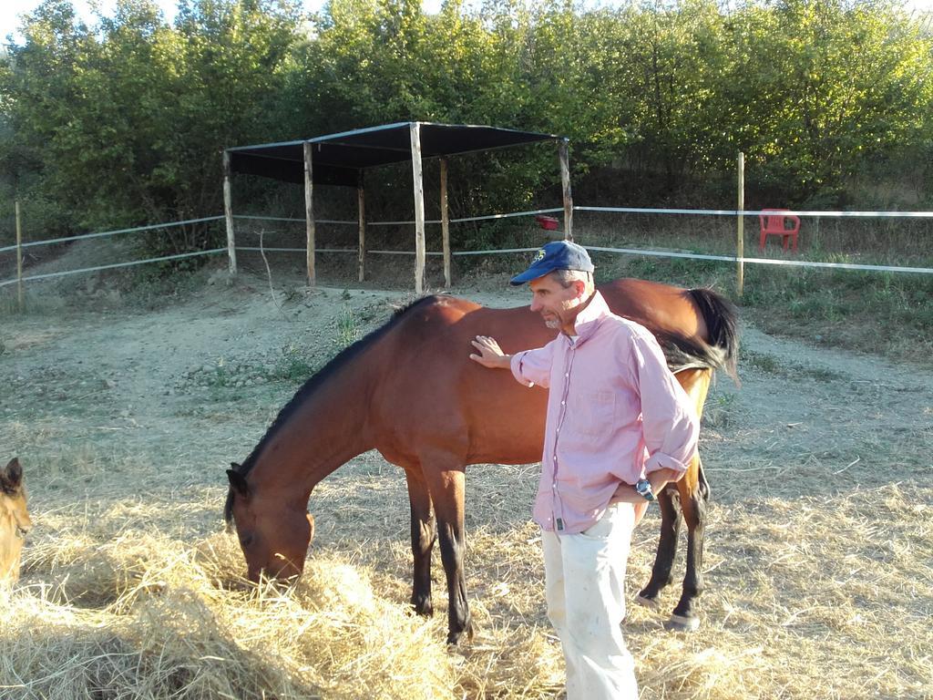 Agriturismo Il Torrione Certaldo Eksteriør bilde