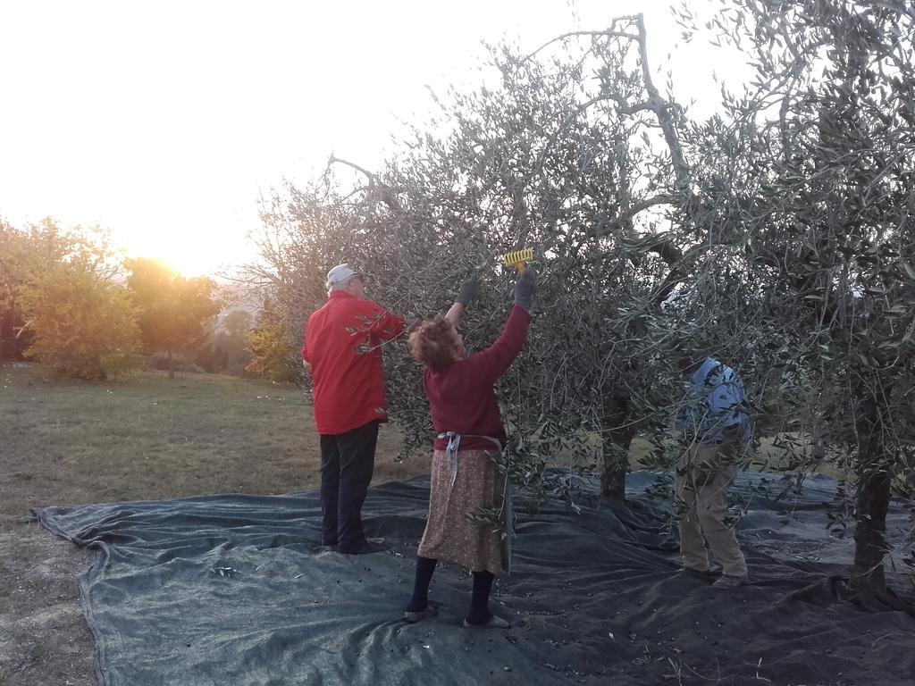 Agriturismo Il Torrione Certaldo Eksteriør bilde