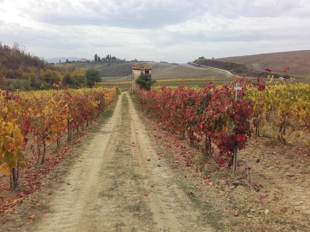 Agriturismo Il Torrione Certaldo Eksteriør bilde