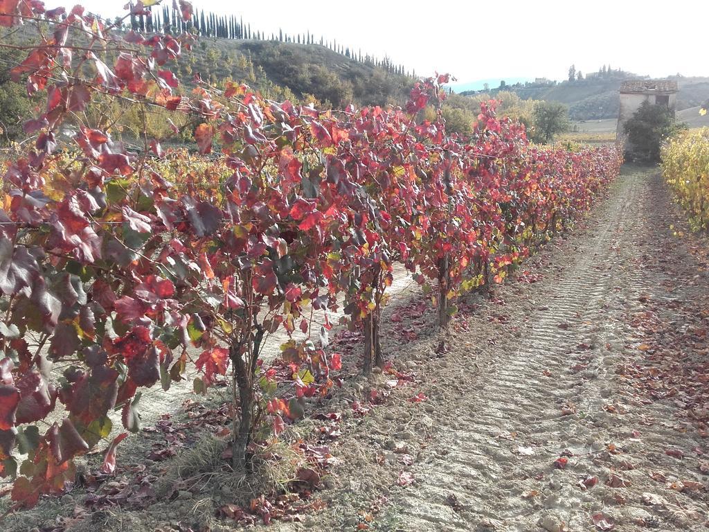 Agriturismo Il Torrione Certaldo Eksteriør bilde
