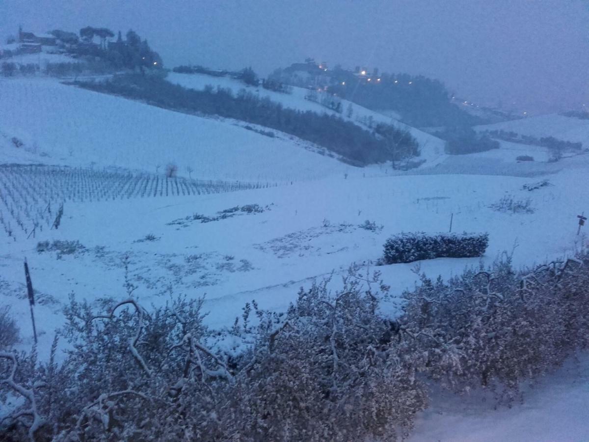 Agriturismo Il Torrione Certaldo Eksteriør bilde