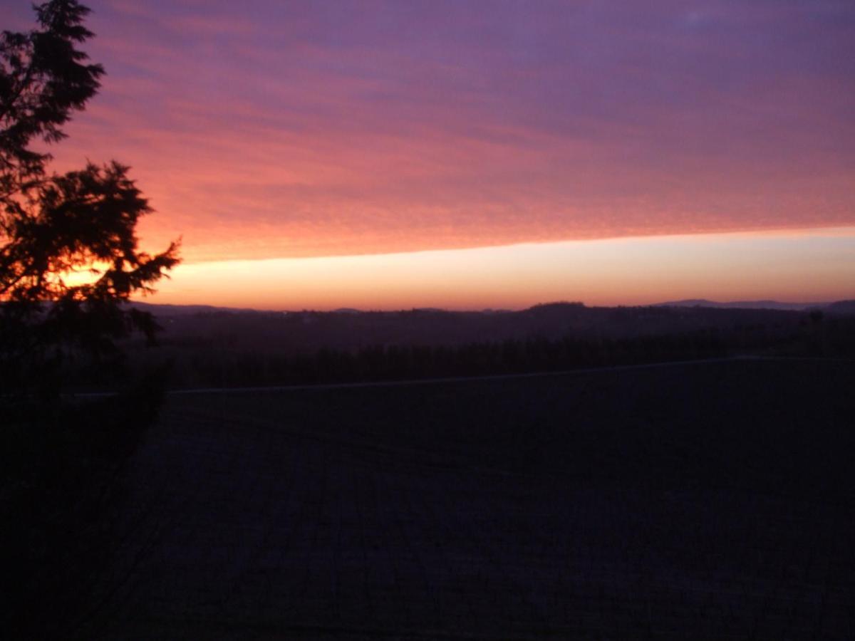 Agriturismo Il Torrione Certaldo Rom bilde